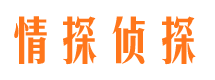 共和捉小三公司